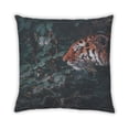 thumbnail image 2 of Ahgly Company Coussin d'Extérieur Animaux Tigre, 18 Pouces par 18 Pouces, 2 of 6
