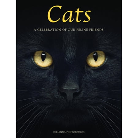 Animals in Photographs Cats: A Celebration of Our Feline Friends (Hardcover)