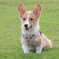 thumbnail image 6 of WINDLAND Dog Harness Pet Leash Anti-Escape Dog Vest Harness Pet Clothes Outdoor Activity Training Harness Vest for Medium Dog, 6 of 15