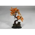 thumbnail image 3 of Penn-Plax Bonsaï Arbre, 3 of 8
