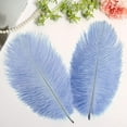 thumbnail image 4 of Namzi 24pcs Baby Blue Ostrich Feathers Natural Bulk 10-12Inch 25cm-30cm for Wedding Party Centerpieces Easter Gatsby and Home Decorate Ostrich Feathers, 4 of 5