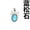 blue turquoise, variant on 10pcs Natural Mix Stone Bow Gems Pendants Magic wand Reiki Healing Amulet-blue turquoise