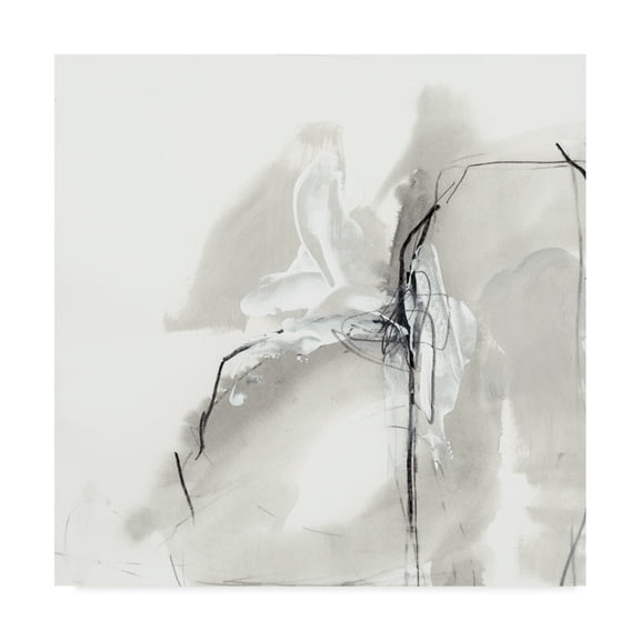 Trademark Fine Art 'Monochrome Gestures I' Canvas Art by June Erica Vess