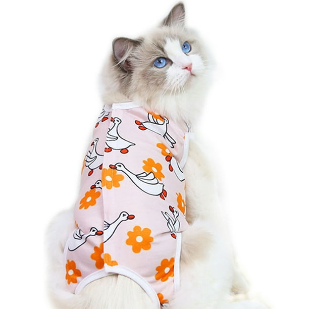 Cats' sterilization clothes, hands and pets' postoperative recovery