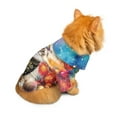 thumbnail image 5 of Hello 2025 Ragdoll Celebrates Happy New Year Firework Balloon Hawaiian Summer Shirt for Small Medium Large Dog Cat Cat Lover Kitten Owner Gifts Idea - 02024, 5 of 6
