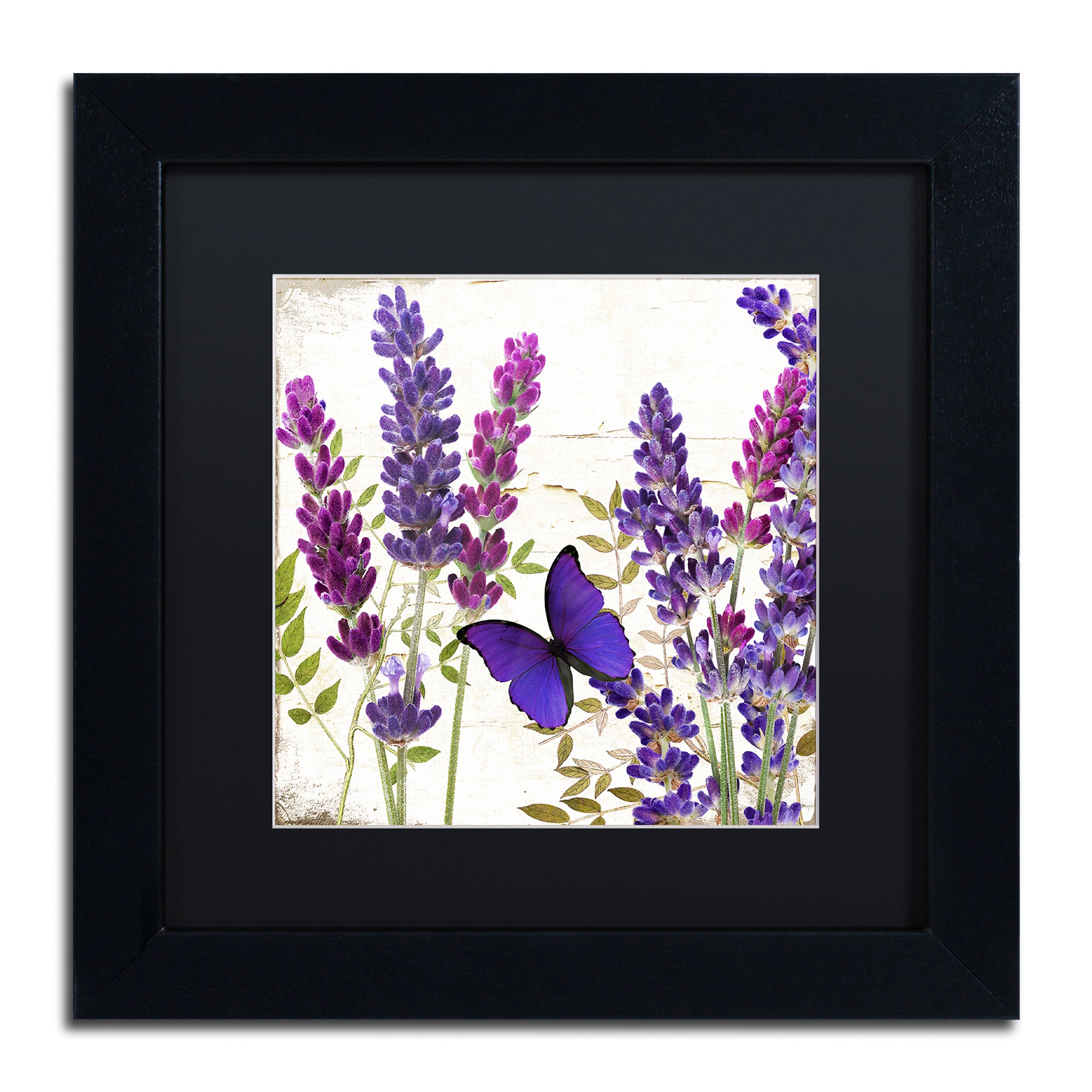 Trademark Fine Art "Lavender I" Canvas Art by Color Bakery, Black Matte, Black Frame