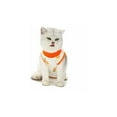 thumbnail image 1 of Traje de recuperación para gatos después de una cirugía (XL, naranja)-, 1 of 4