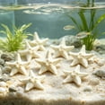 thumbnail image 4 of 10 Piece Mini Resin Starfish Set, DIY Starfish Decor for Beach Crafts Aquarium Layout Indoor Outdoor, Gift& Coastal Decor, 4 of 6