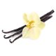 thumbnail image 4 of Esencia de Perfume Musk China Etivel sin Alcohol 10 ml, 4 of 7