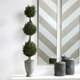 thumbnail image 2 of Bowery Hill Contemporary Triple Topiary in Aged Gray, 2 of 3