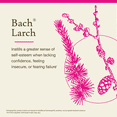 thumbnail image 3 of Bach Original Flower Remedies, Larch - 20 mL Dropper, 3 of 6