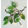 Mainstays Solar LED Mini Lights, 50 Count
