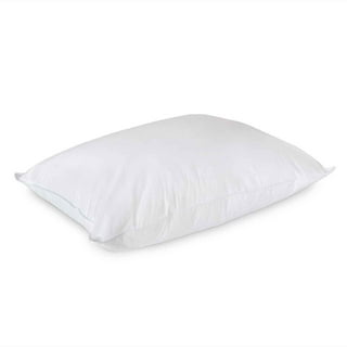 Envirosleep Dream Memories Memorelle Fiber Fill Pillow 