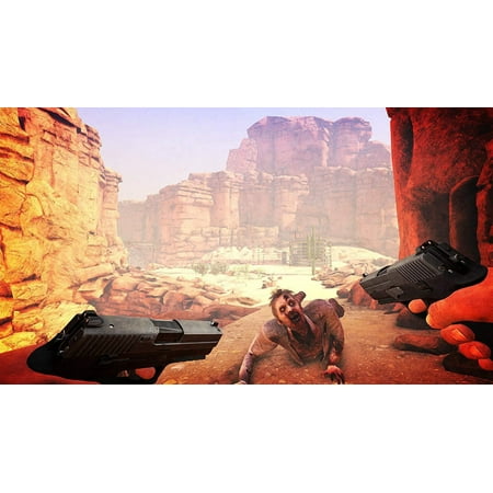 Arizona Sunshine - PSVR [PlayStation 4]