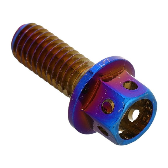 Hemoton Decorative License Plate Bolt Screw Truck Car Accessories Stylish License Plate Fasteners For Vehicle Plate Security Screw For Motorcycle M6x12mm