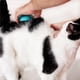 thumbnail image 4 of Methold Peine para mascotas, peine eficiente para depilación suelta, fácil de limpiar, peine de plástico para lengua de gato, autolimpieza Juguetes para gatos azul, 4 of 6