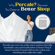 Color Sense 4-Piece 100% Cotton Percale Bed Sheet Set, Cool & Crisp Bedding, Queen, White