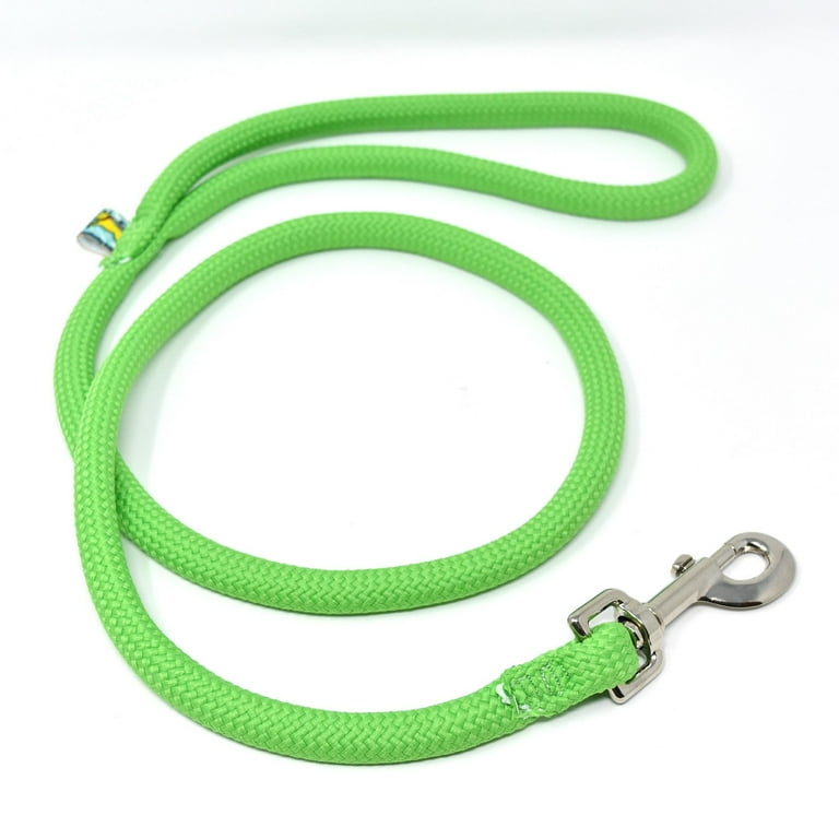 Walmart long dog leash cheap