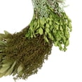 thumbnail image 4 of Northlight Small Cedar Succulent and Day Grass Artificial Spring Wreath Green -14-Inch, 4 of 8