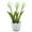 Green, variant on THHEIC Three-Headed Tulips Flower Bonsai, Creative Ornamental Plant for Indoor Decoration, Small Planter for Aloe, Cactus, Succulents, and Daisy, Tabletop Display Piece
