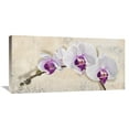 thumbnail image 1 of Global Gallery Elena Dolci 'Royal Orchid' Canvas Wall Art, 1 of 4