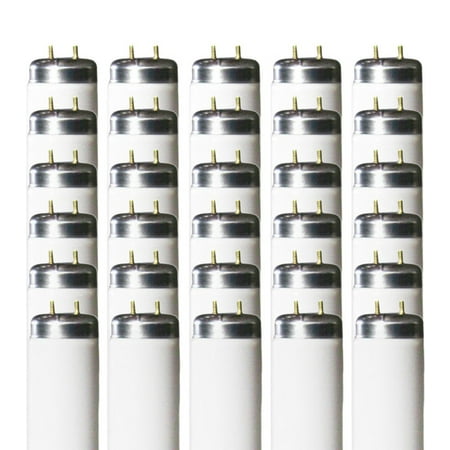 

F20T12 20W 24 Inch T12 Fluorescent Light Bulb | 6500K Full Spectrum Medium Bi-Pin Base | 1075 Lumens 75 CRI 36000 Life Hours | Instant/Programmed Start | 30 Pack by GoodBulb