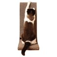 thumbnail image 2 of Vertical Standing (Tool-Free Assembly and Uniquely Crafted from Sustainable Non Toxic zBoard Paperboard), 2 of 4