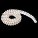thumbnail image 5 of 2x 1 de Artificiales con de Encaje, Cinta, Apliques de para Decoración de Vestidos, 0,59 Pulgadas perfecl Cinta de adorno de flecos de perlas, 5 of 8
