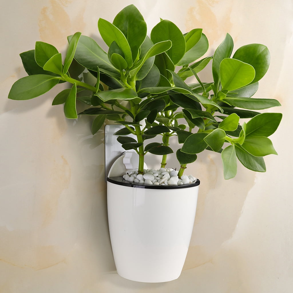4Pcs Self Watering Planter - Hanging Planter Pot Plants, Aloe, s, African Violets, Succulents - S