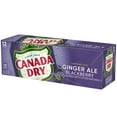 thumbnail image 3 of Canada Dry Caffeine Free Blackberry Ginger Ale Soda Pop, 12 fl oz, 12 Pack Cans, 3 of 6