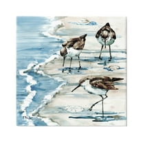 Stupell Industries Rockhampton Sandpipers Beach Grazing Painting Gallery Wrapped Canvas Print Wall Art, Design by Paul Brent
