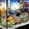 thumbnail image 3 of 12mm Stainless Steel Mesh Filter Media Cover for Aquarium Percolator, 3 of 7