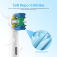 thumbnail image 3 of Toothbrush Heads FHADAY Compatible with Oral B 8 Pack, 3 of 7