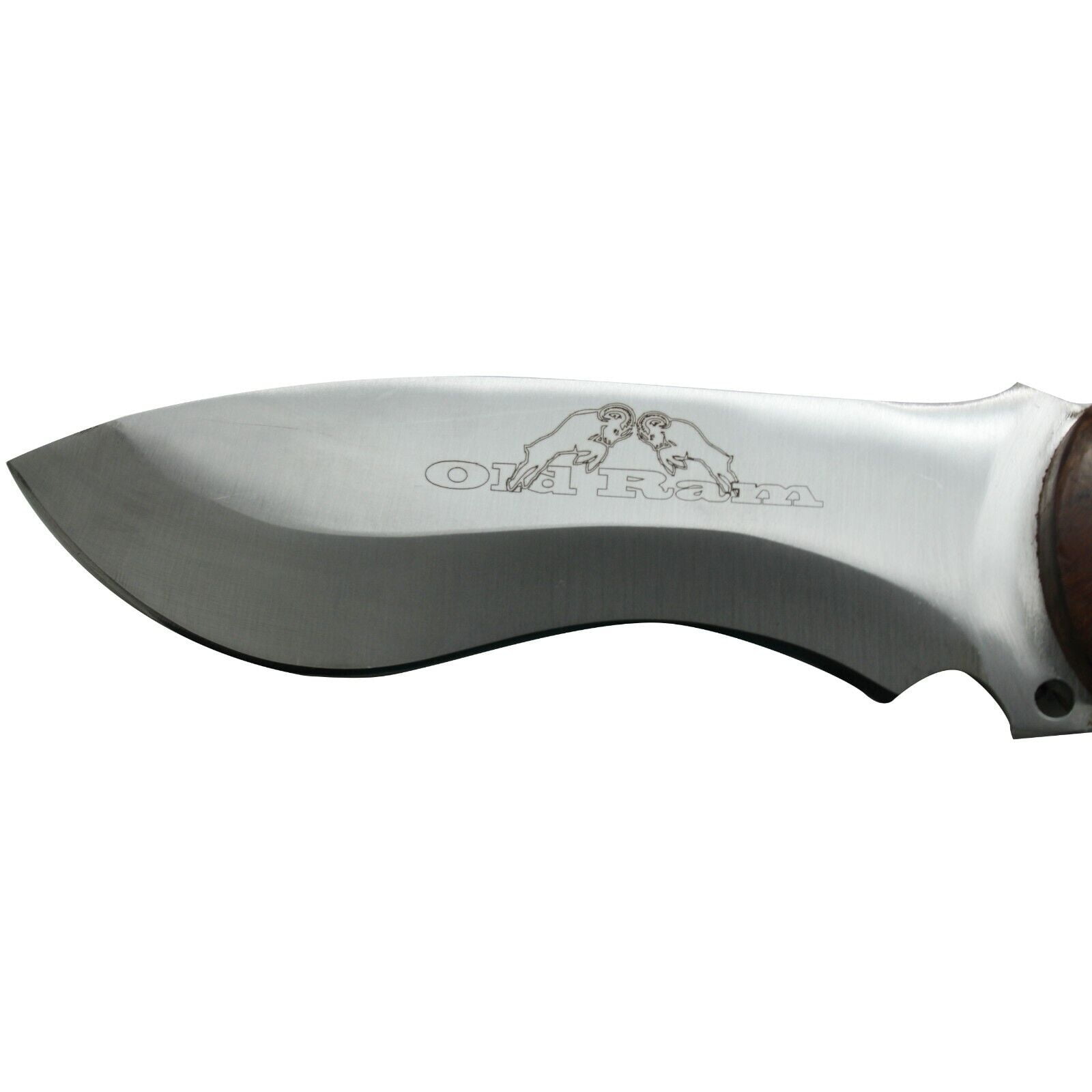 Old Ram Collection Durable Fixed Blade Heavy Duty Wood Handle Hunting Knife