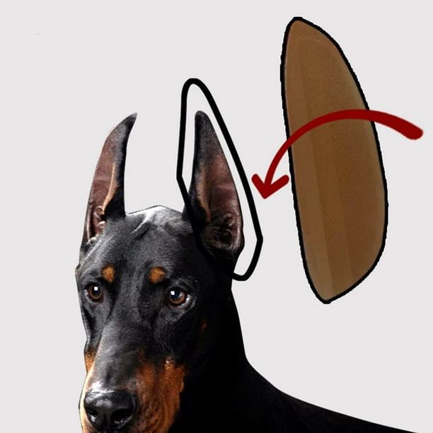 Herramientas de piezaza para el atención oídos del perro Colco Corrector de orejas de perro grande 5x3.5cm