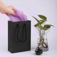 thumbnail image 3 of 10Pcs Gift Bags with Handles Retail Shopping Party Paper Package Storage Craft Supplies, 3 of 3