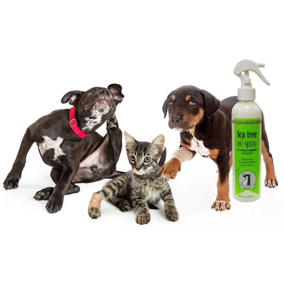 #1 All Systems Tea Tree Oil Spray . Like A First Aid Kit In A Bottle . And A Natural Insect Repellent . For Dogs Cats