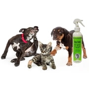 #1 All Systems Tea Tree Oil Spray . Like A First Aid Kit In A Bottle . And A Natural Insect Repellent . For Dogs Cats