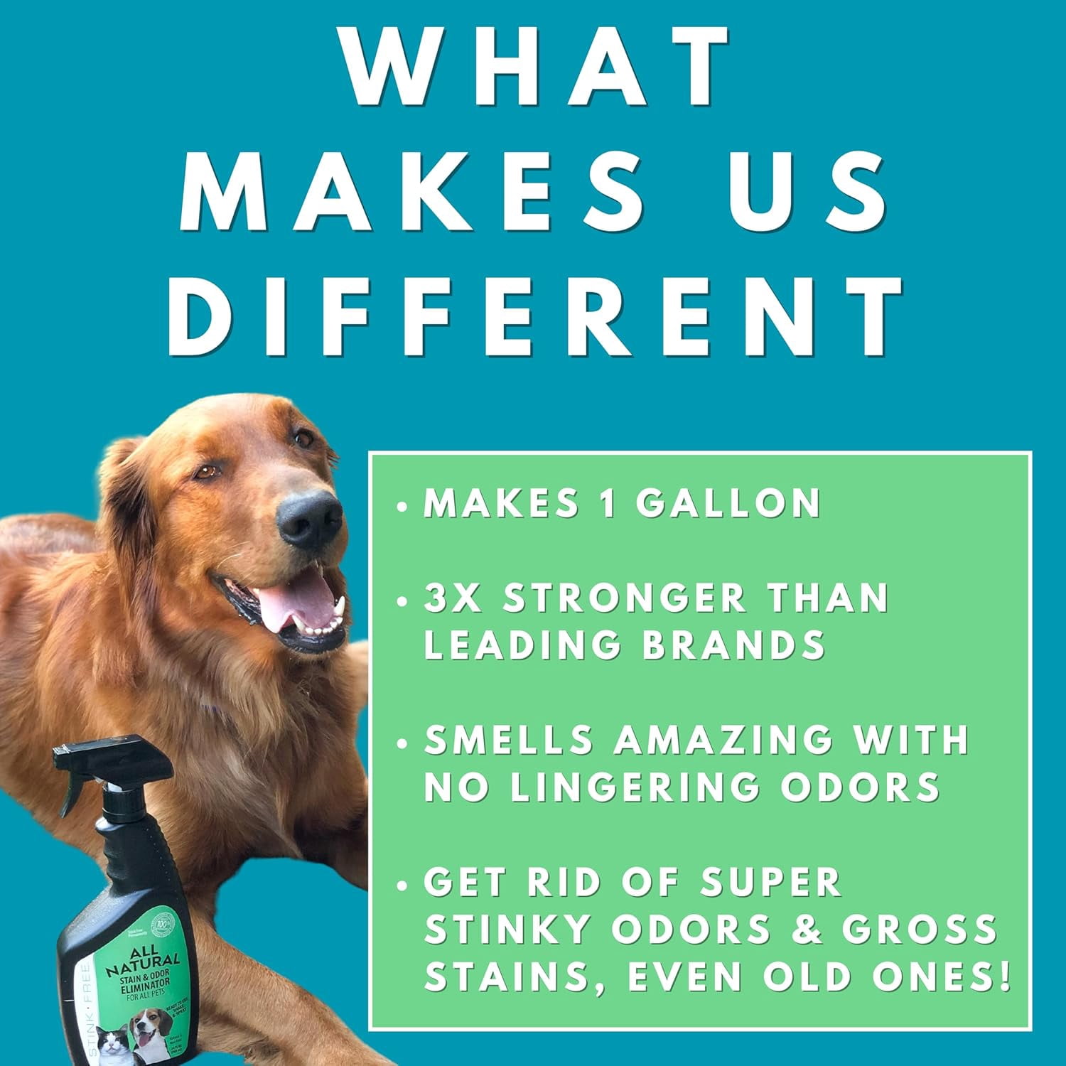 All Natural Stain & Urine Odor Eliminator Pet Enzyme Cleaner. Makes 1 Gallon. Dog & Cat Pee Smell Remover. Best Spray for Carpet, Hardfloor, Mattress, Turf, Kennel, Dog Bed, Concrete, Etc