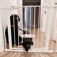 thumbnail image 6 of North States MyPet Wide Metal Walk Thru EasyPass Pet Gate with Doggy Door, Expands to 37.5" Wide, 6 of 10