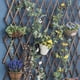 thumbnail image 1 of Enrejado colgante de madera expandible para plantas trepadoras - Decoración de pared para patio y jardín, 1 of 2