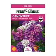 Ferry-Morse 47.5MG Candytuft Dwarf Fairy Mixed Colors Flower Seeds Flower Seeds Packet