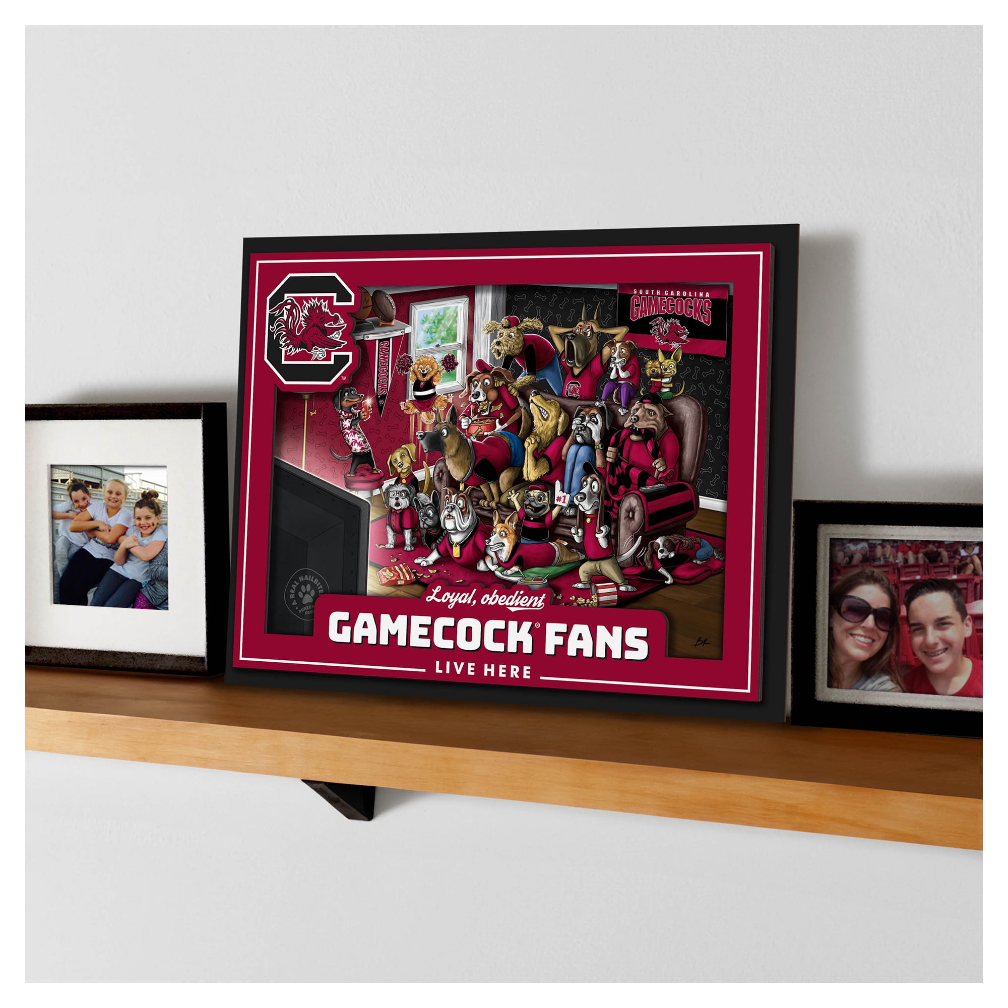 IDNA South Carolina Gamecocks 13.25" x 17.25" Purebred Fans Wall Art