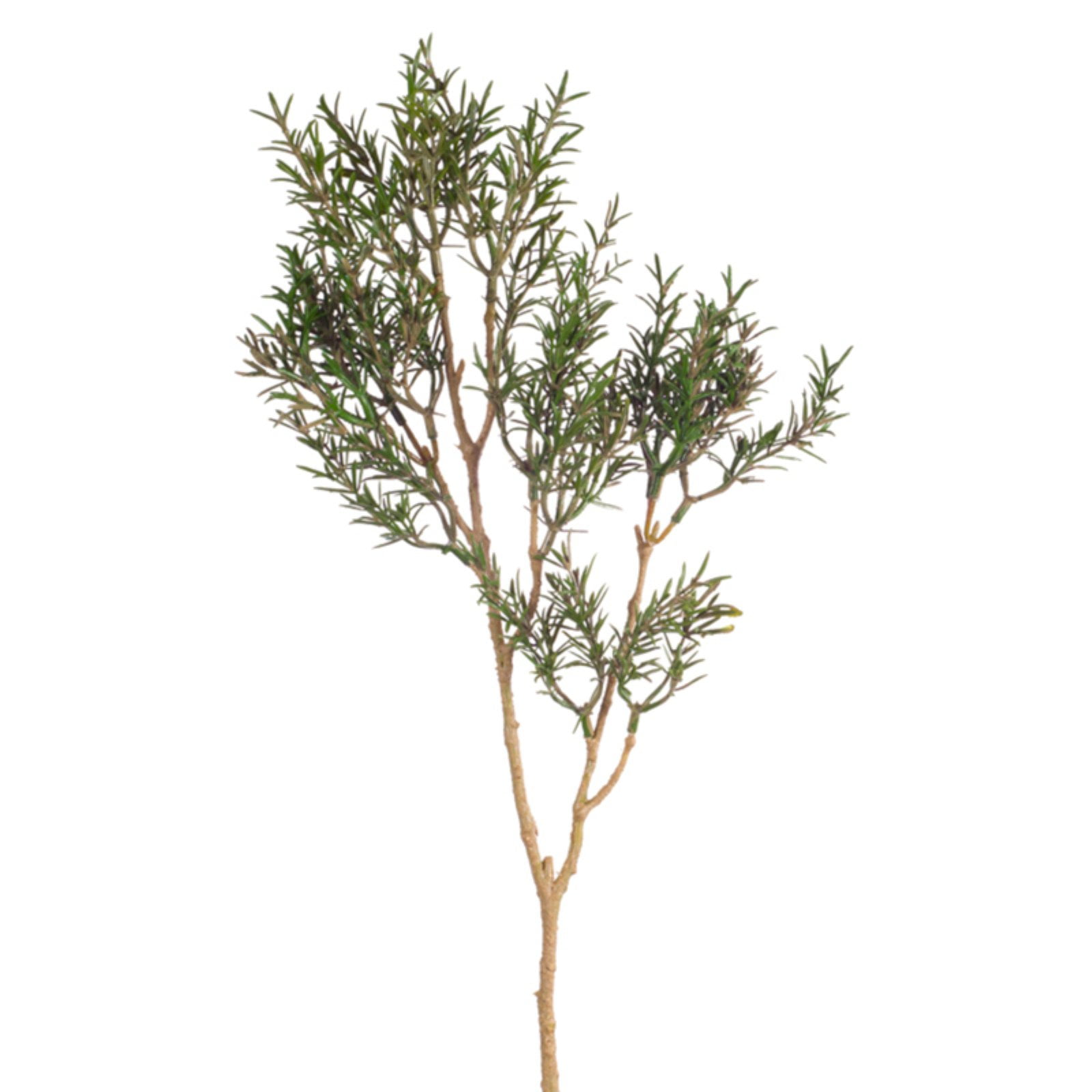 Melrose International Rosemary Spray Silk Plant Set of 12 Walmart