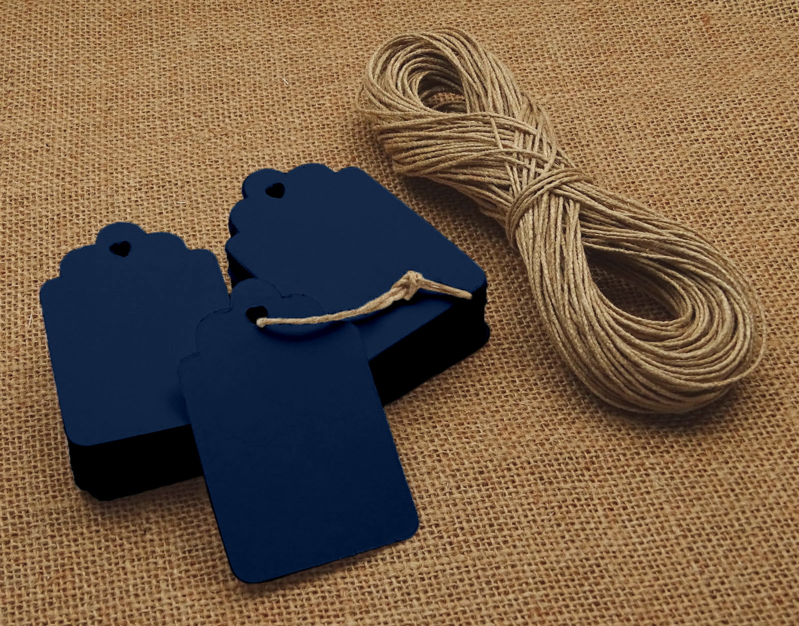 100 Pcs Rectangular Shape Favor Tags With Free Natural Jute Twine TAG-145 