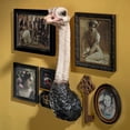 thumbnail image 1 of Design Toscano Ostrich Bird Trophy Wall Sculpture, 28 Inches, Full Color, 1 of 6