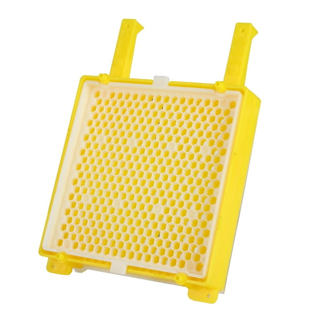 Kit de sistema de apicultura, kit de sistema de apicultura Caja de sistema de cría de abeja reina Caja de cría de abejas Claridad notable