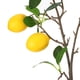 thumbnail image 4 of (6 frutas, longitud total de unos 80 cm) adornos de decoración interior del hogar de rama de limón de imitación, 4 of 14