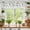 Green Eucalyptus, variant on 54x18Inch Spring Wildflowers Window Treatment Valance Watercolor Floral Butterfly Plants Leaves Short Topper Curtains Kitchen Bedroom Living Room Farmhouse Rod Pocket Drapes Panels