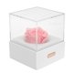 thumbnail image 5 of Regalos De Flores De Rosas Para Mujeres, Luz Nocturna De Rosas Multicolor En 3D, Regalos De Rosas Para Ella El Día De San Valentín, Regalos De Cumpleaños Para Mujeres, 5 of 7